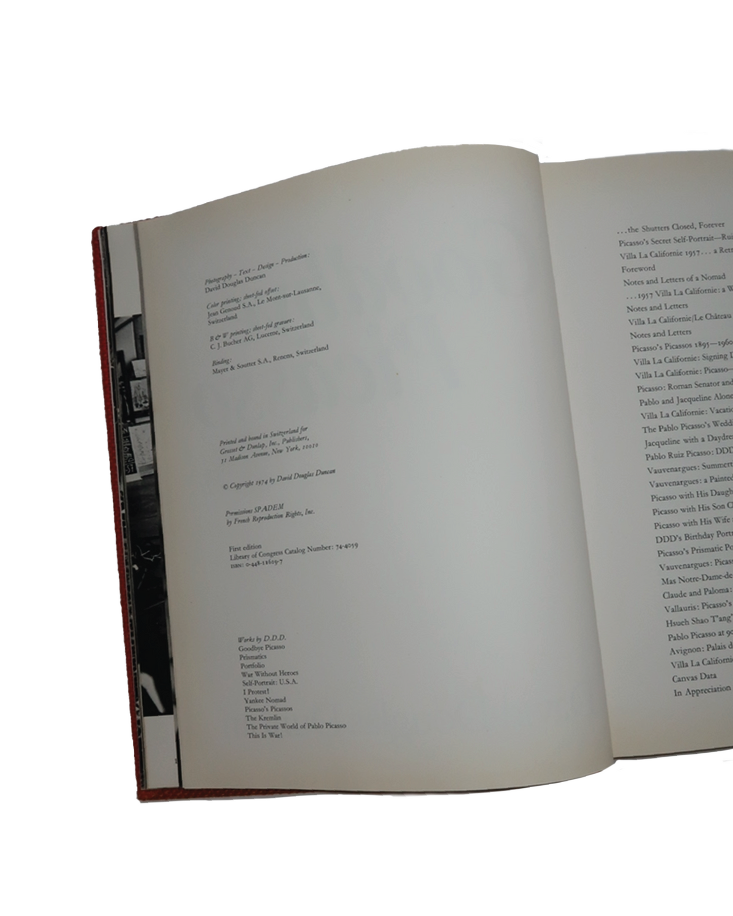 goodbye picasso book