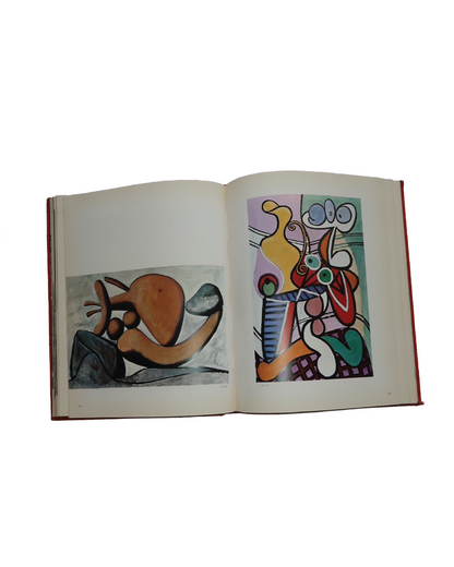 goodbye picasso book