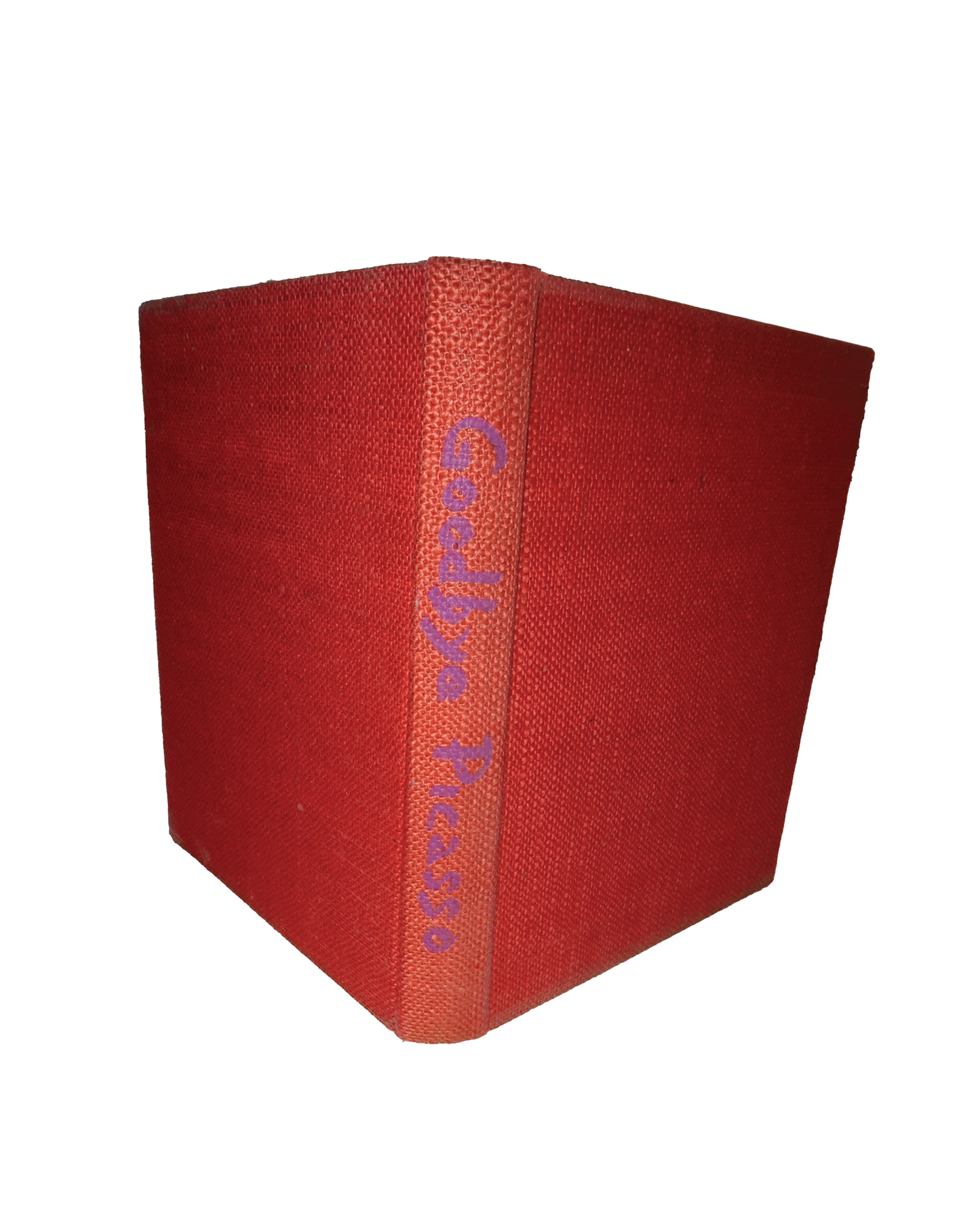 goodbye picasso book