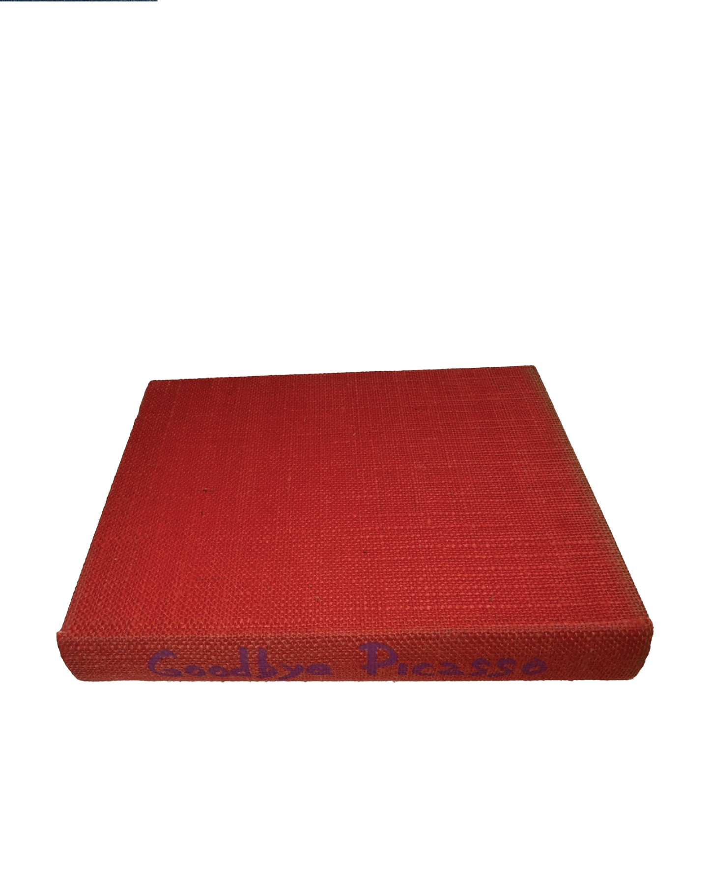goodbye picasso book