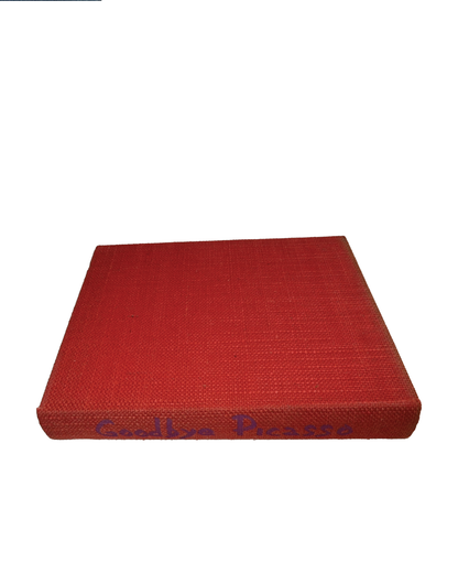 goodbye picasso book